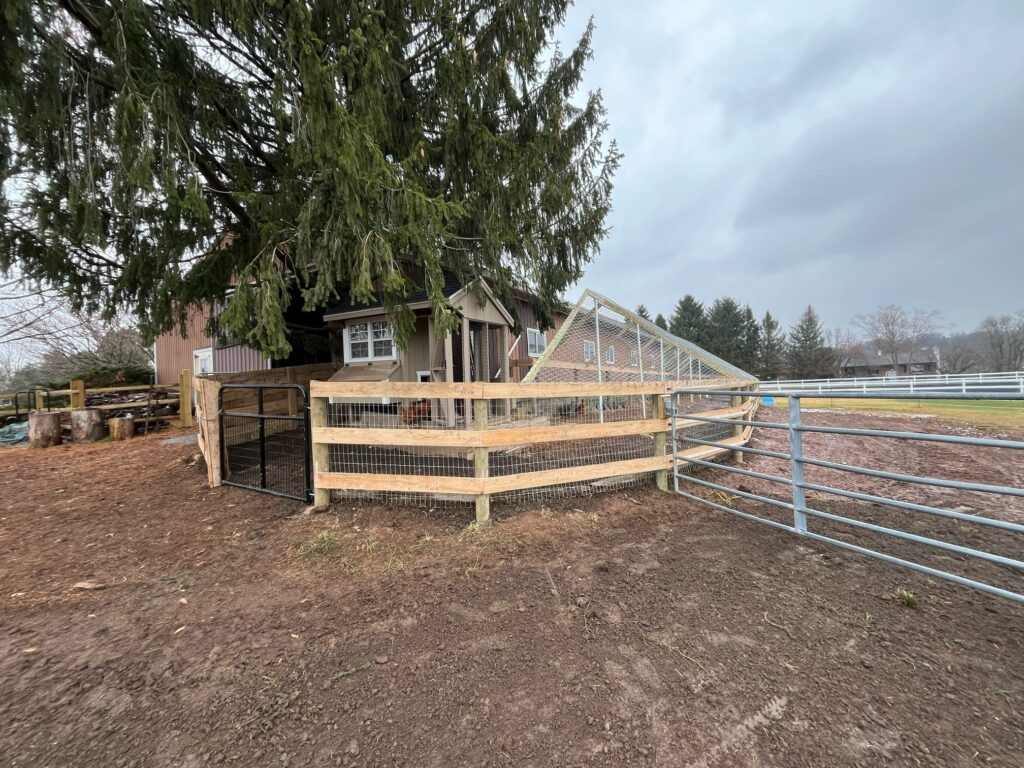 Overhead Hawk Netting Along Barn Roofline