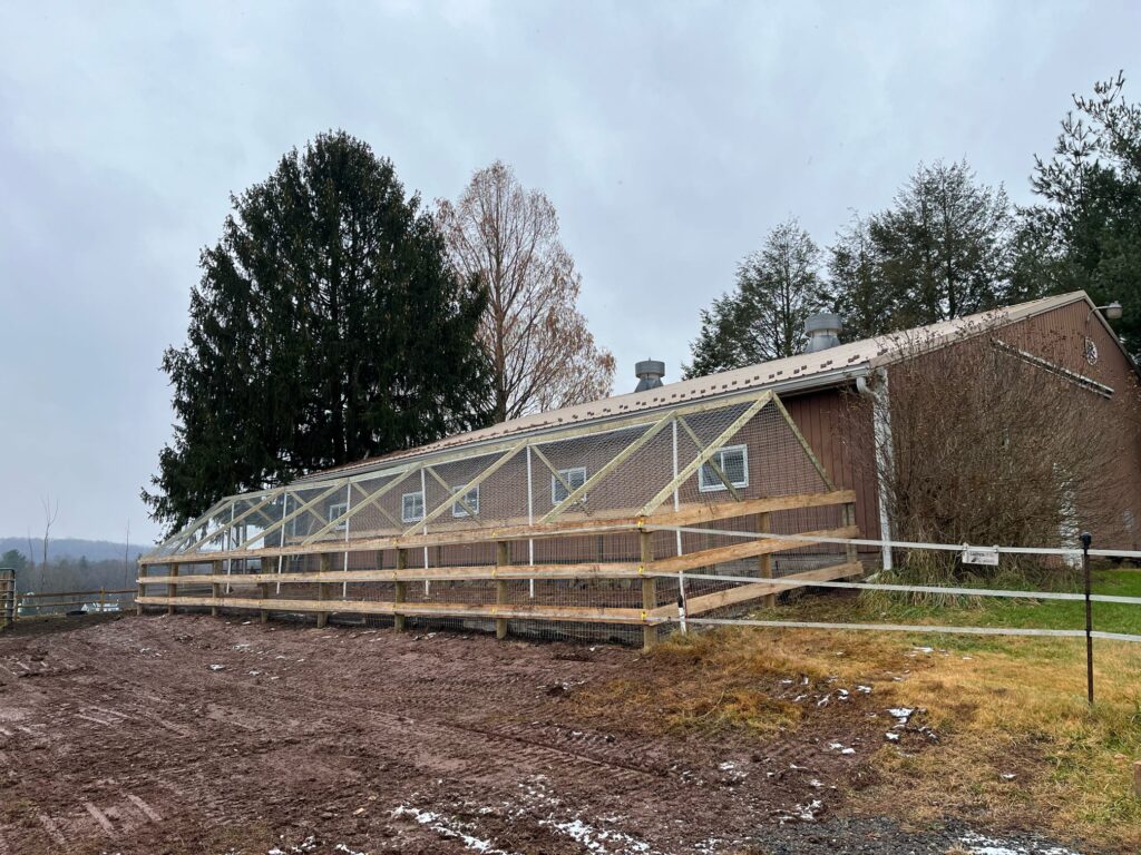 Chicken Fence With Hawk Protection In Gap, Pa