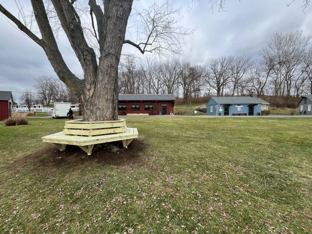 Custom Park Bench Installation In Strasburg, Pa 7 Hexagonal Bench Around Tree Trunk